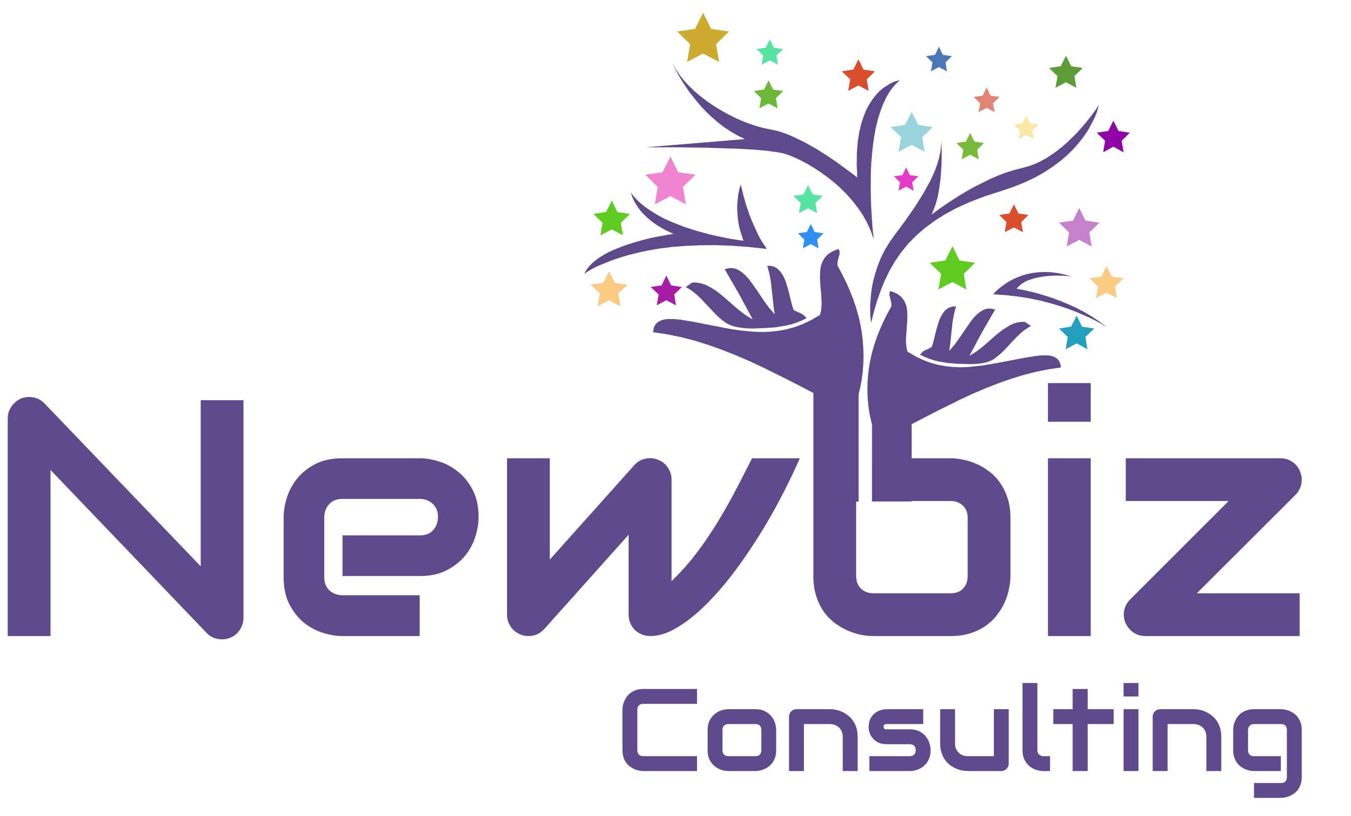 Newbiz Consulting