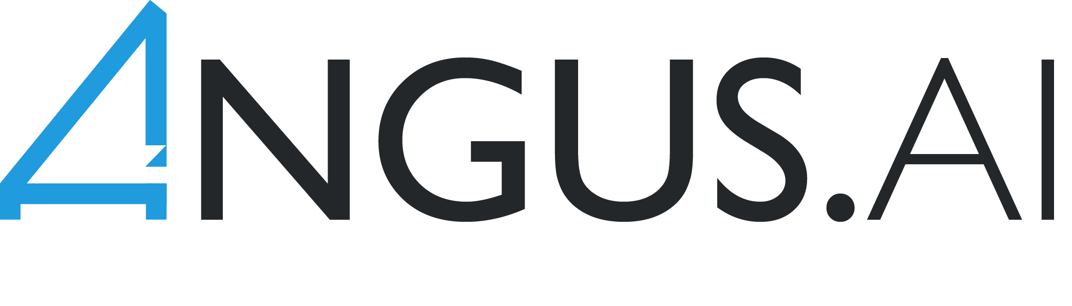 Angus.ai