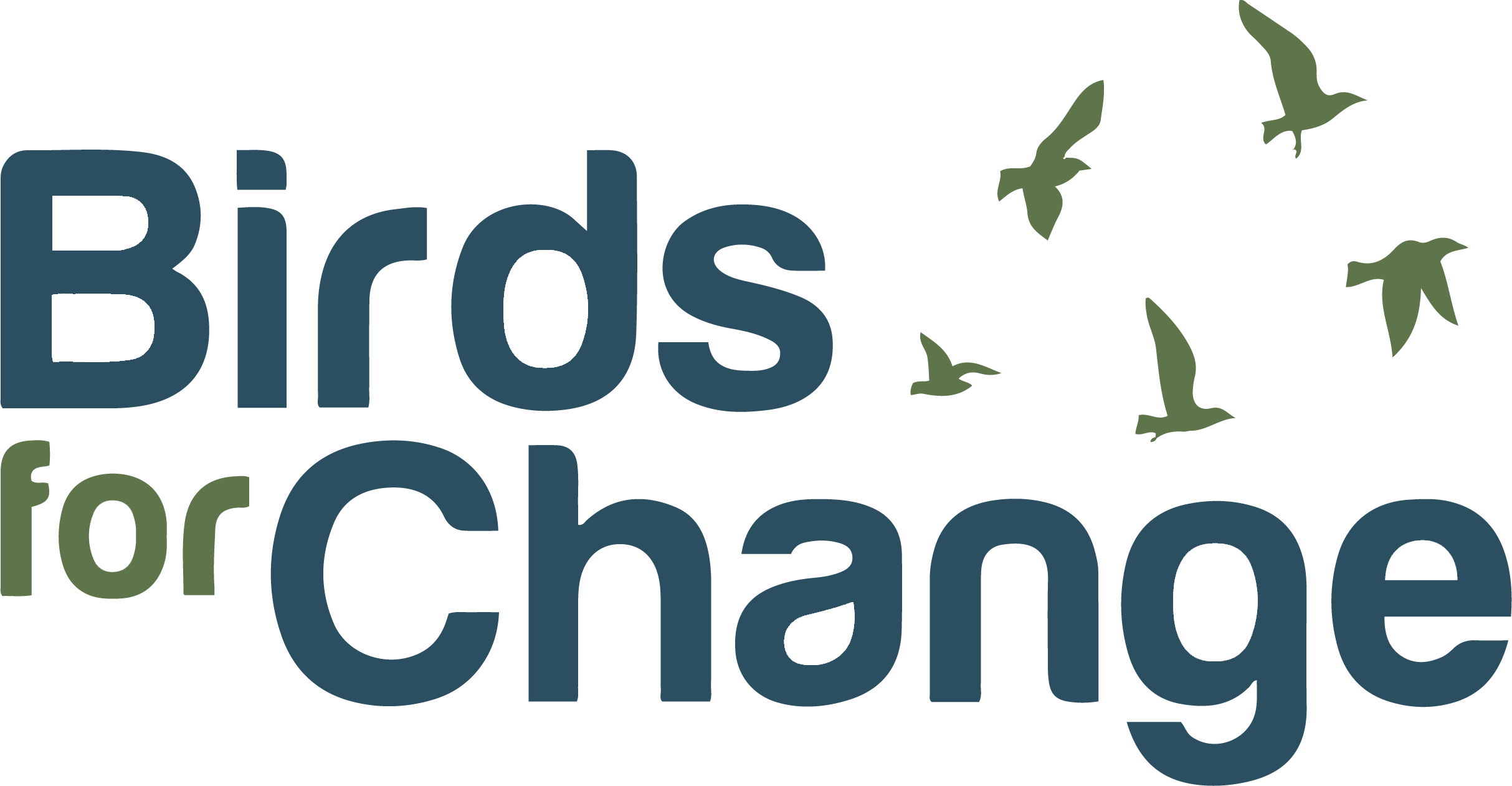 Birds For Change