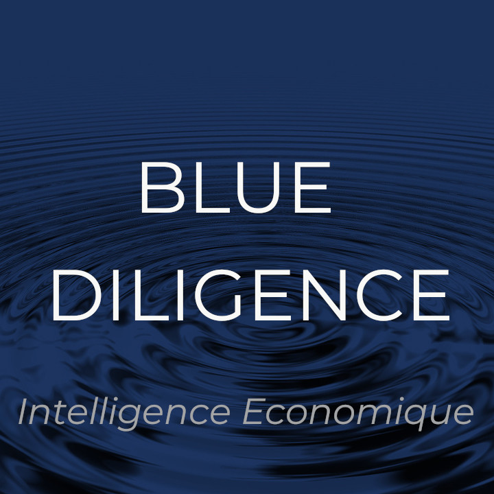 BLUE DILIGENCE Intelligence économique