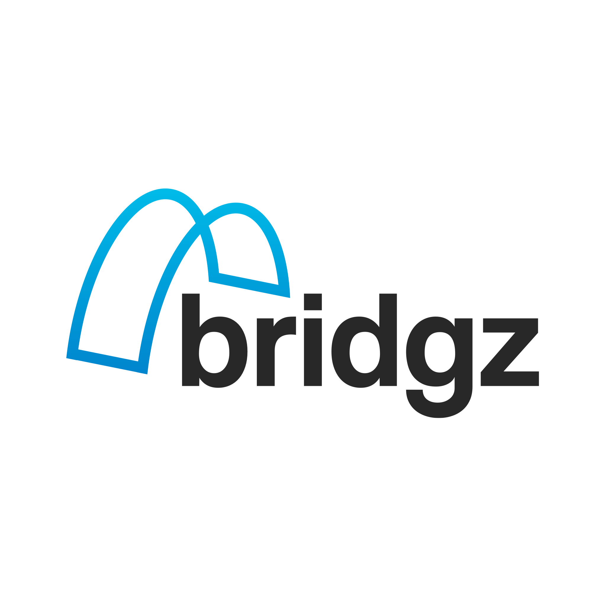 Bridgz