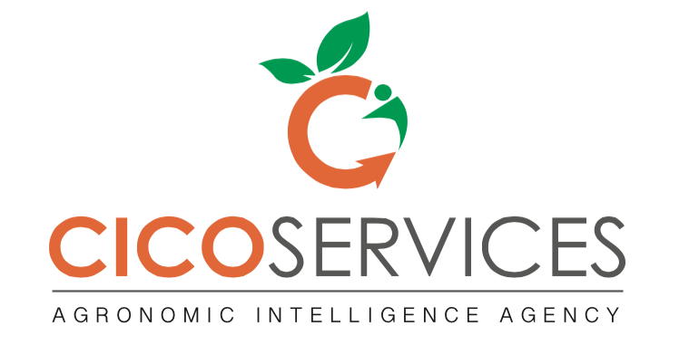 Cico Services