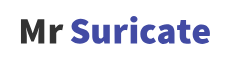 Mr Suricate