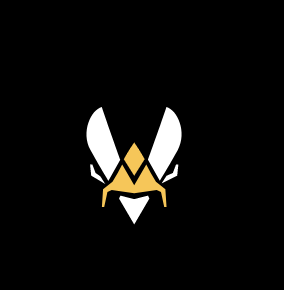 TEAM VITALITY