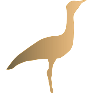 Choriotis