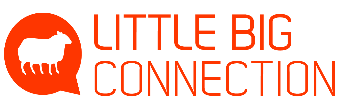 LittleBIG Connection