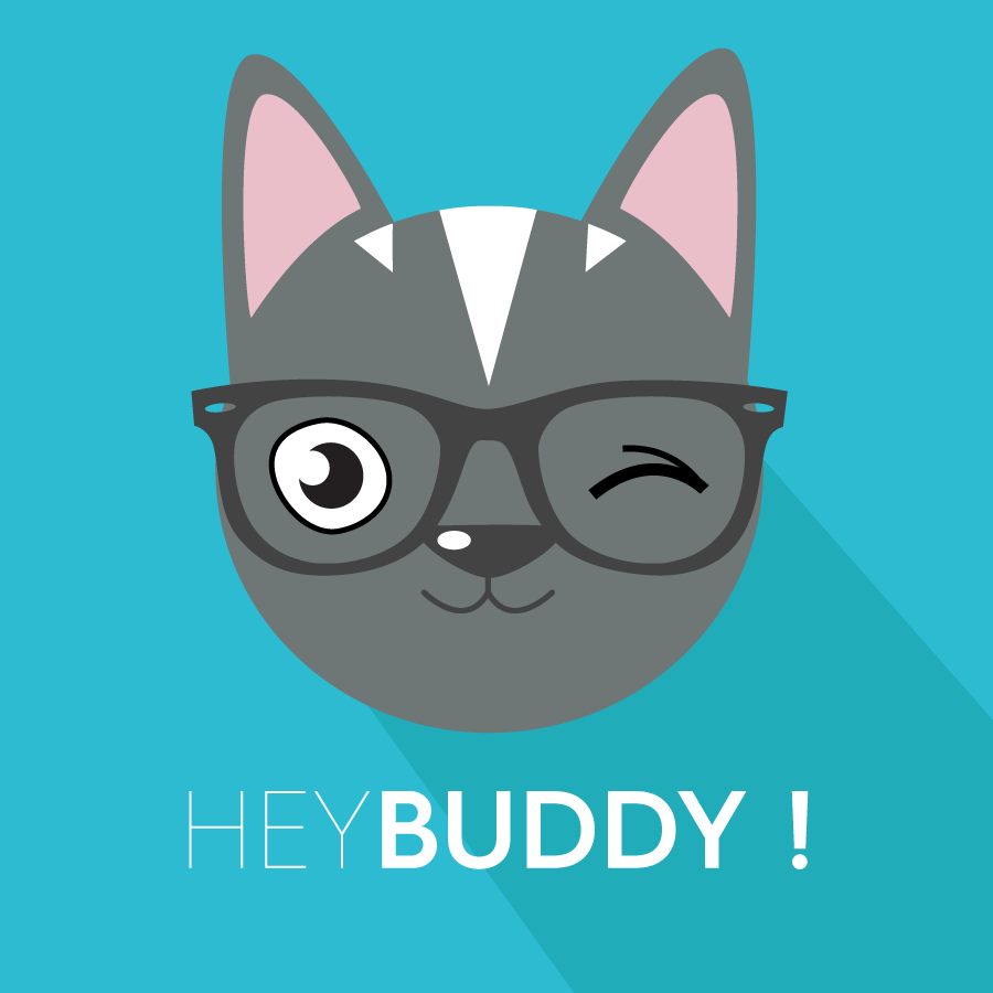 Hey Buddy