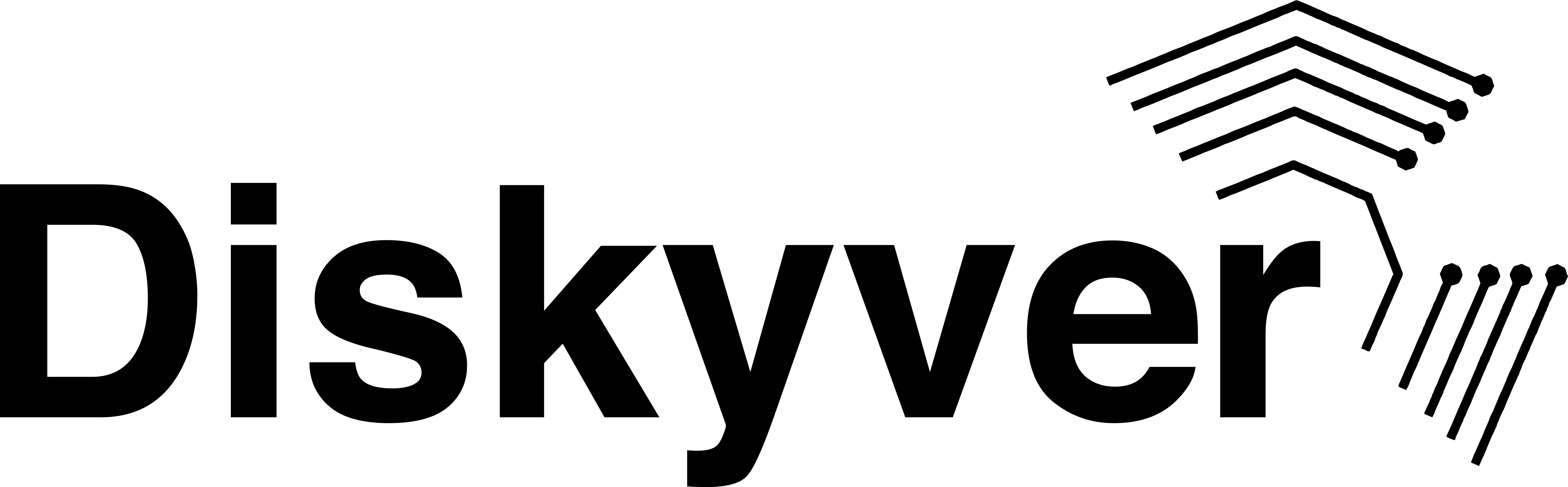 DISKYVER