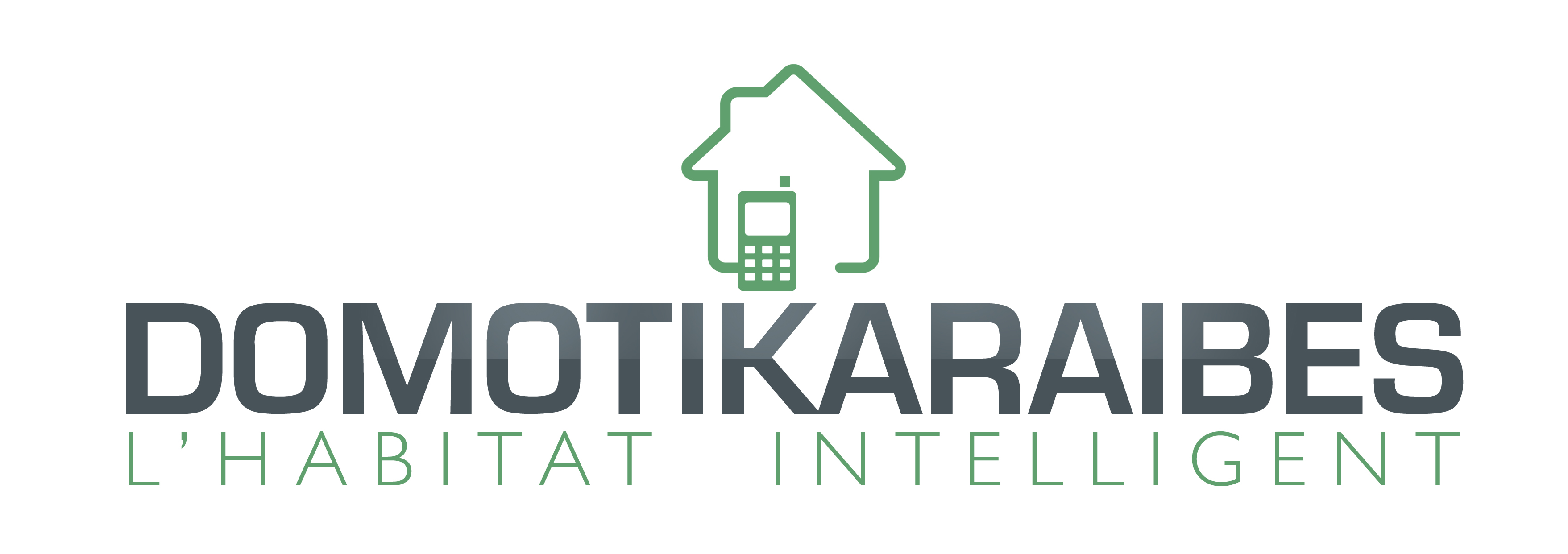 Domotikaraibes