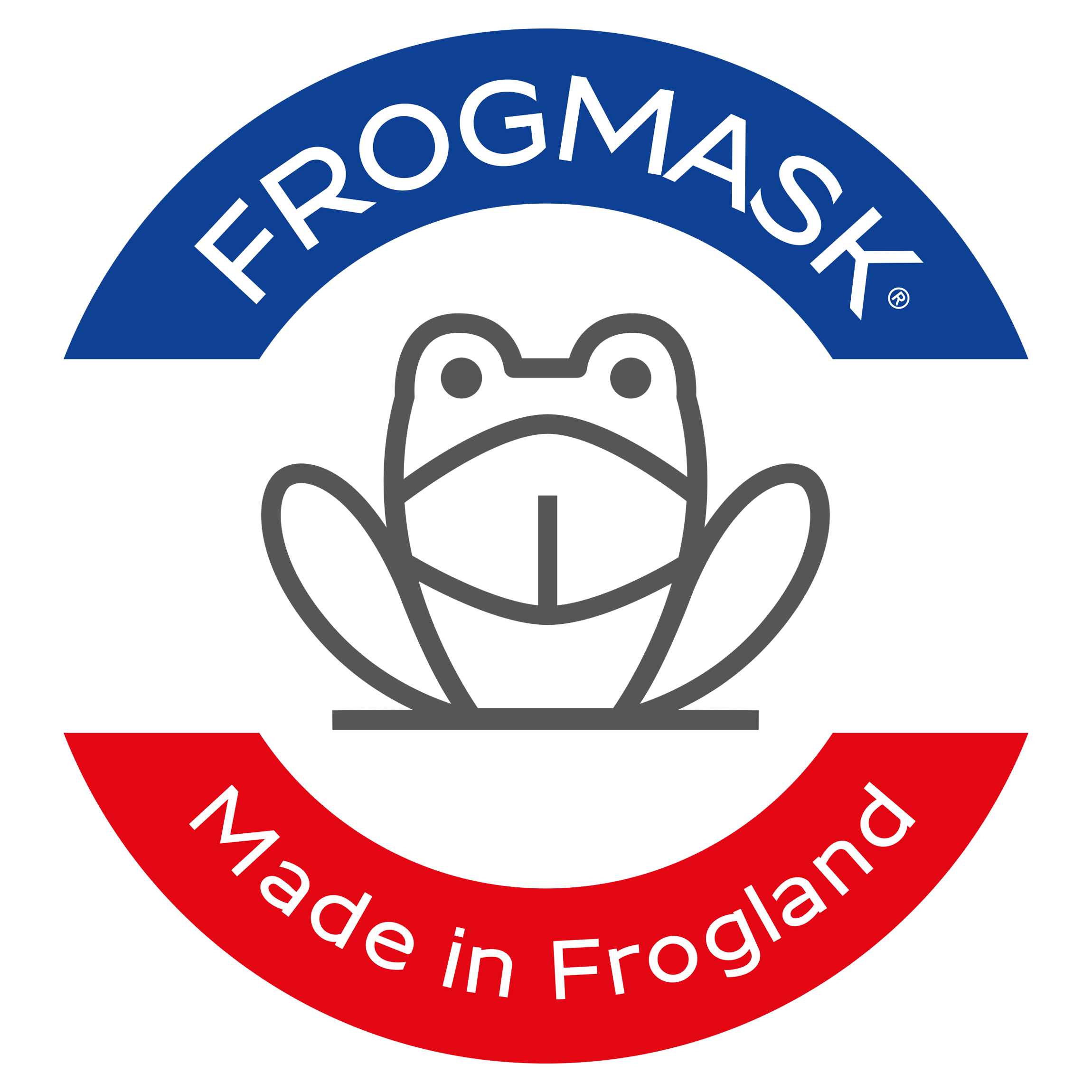 FROGMASK