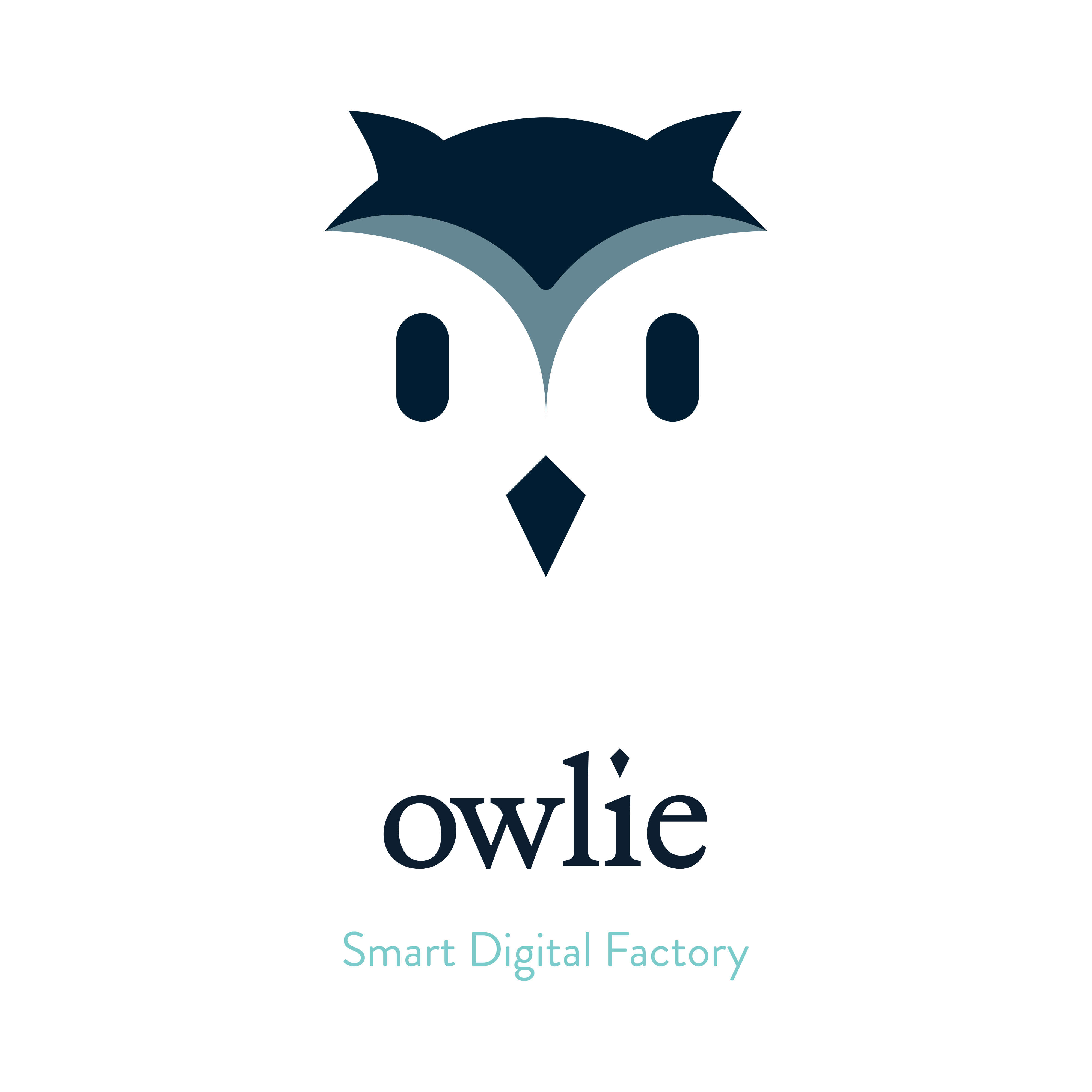 Owlie