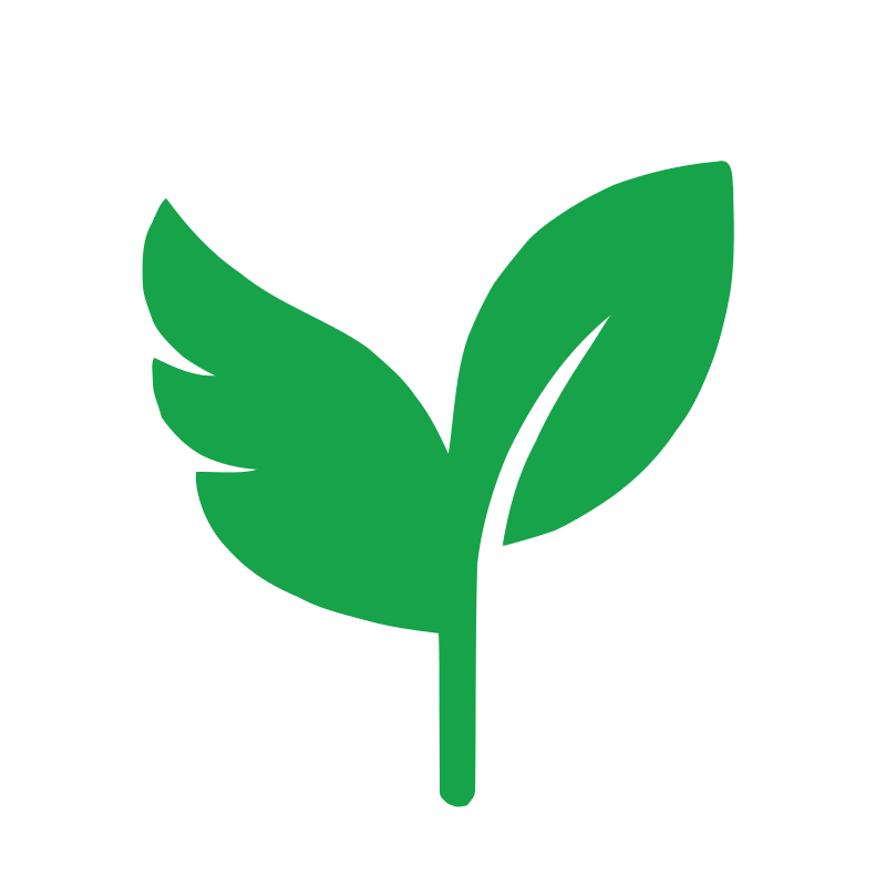 SeedAngels