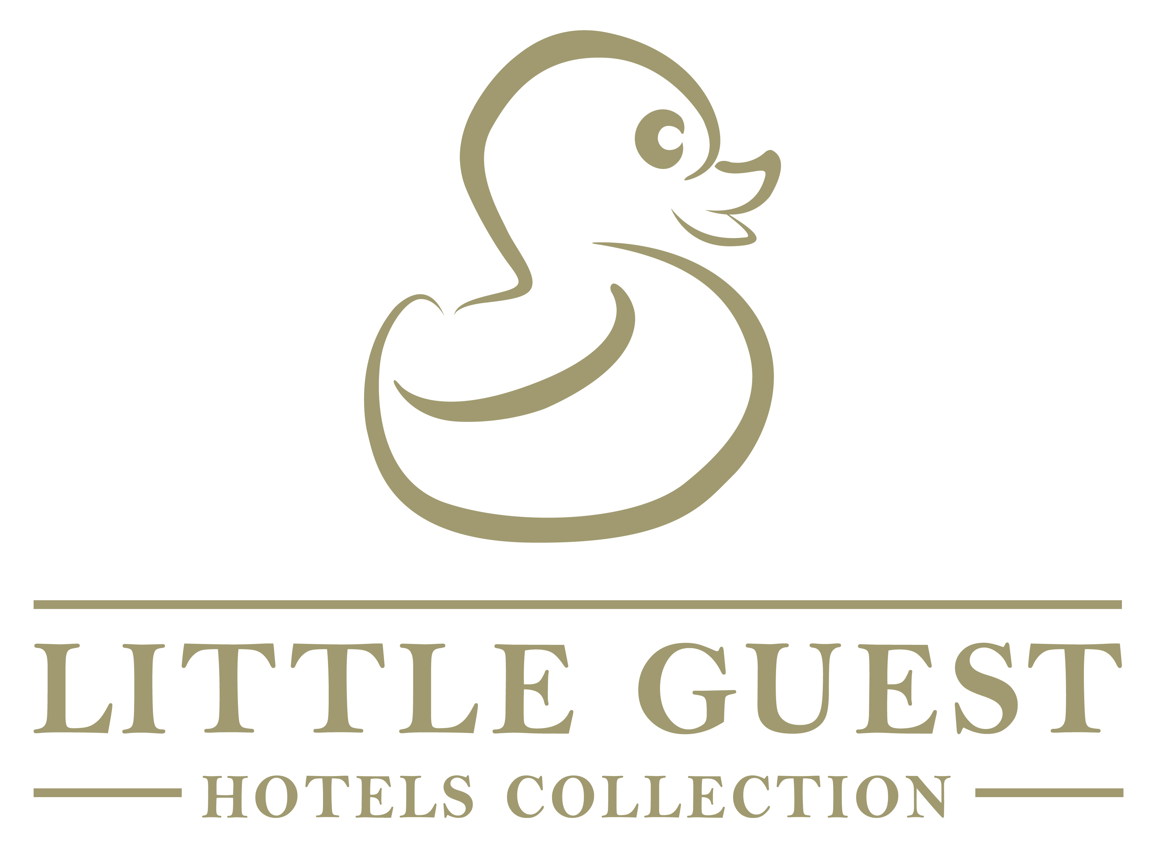 Little Guest