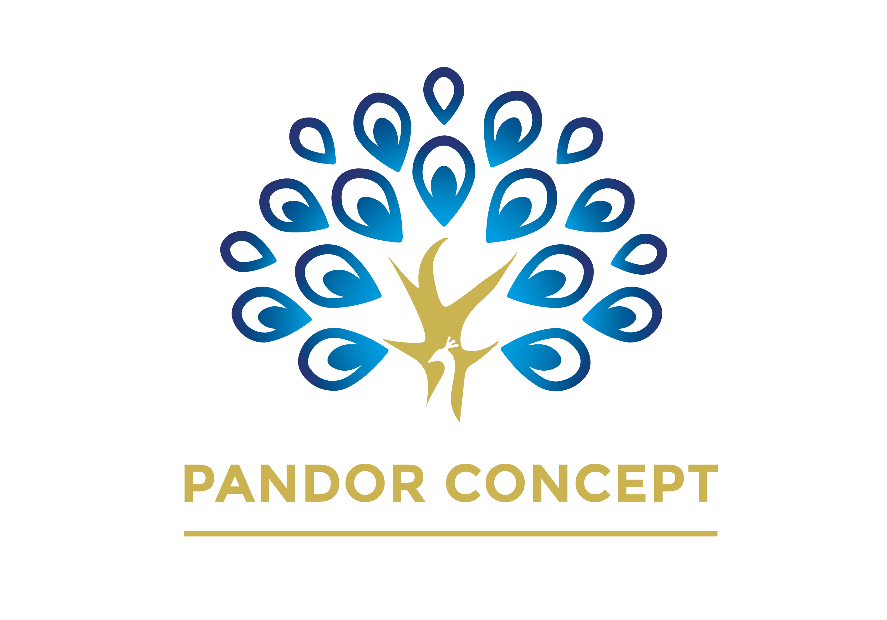 Pandor Concept