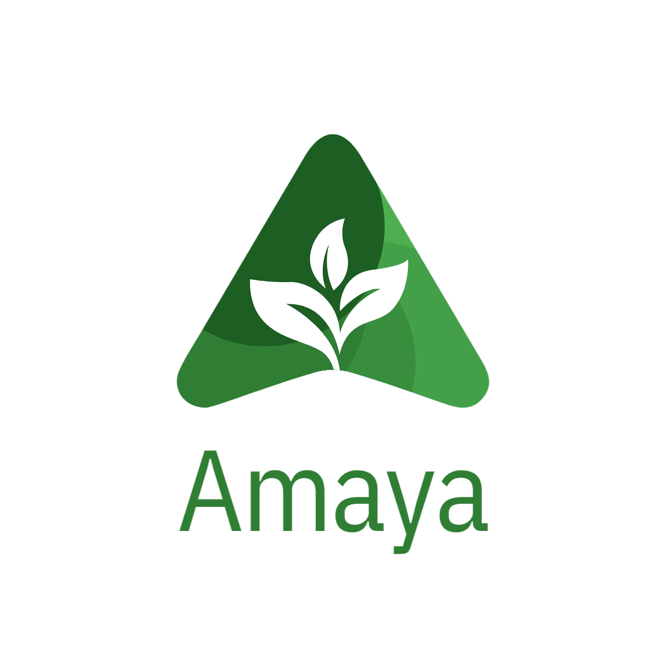 Amaya AG