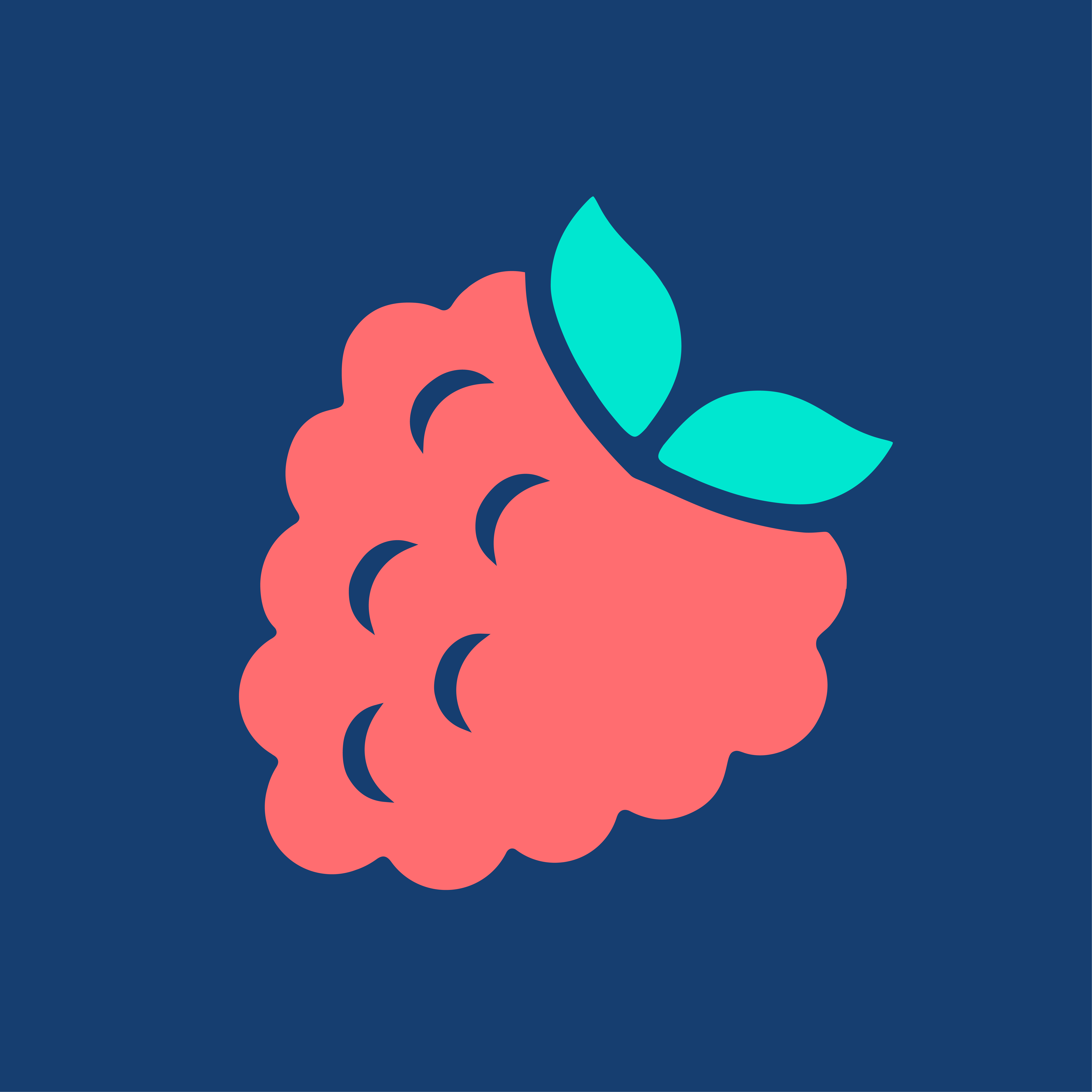 La Fraise