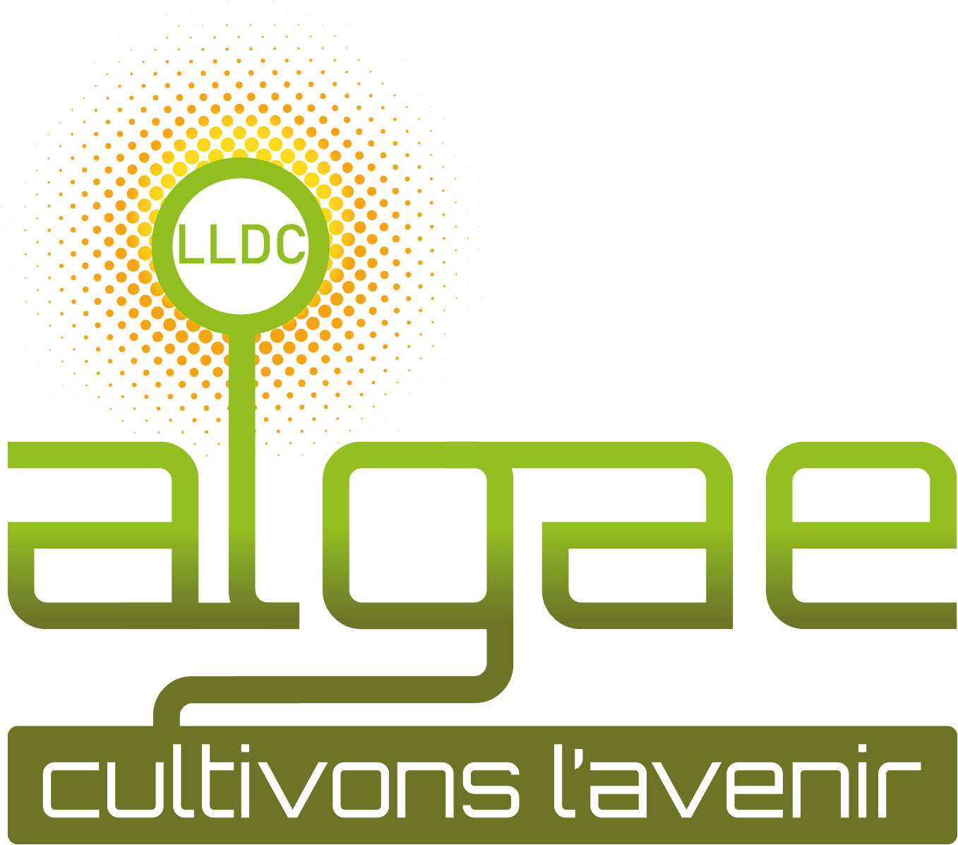 LLDC Algae