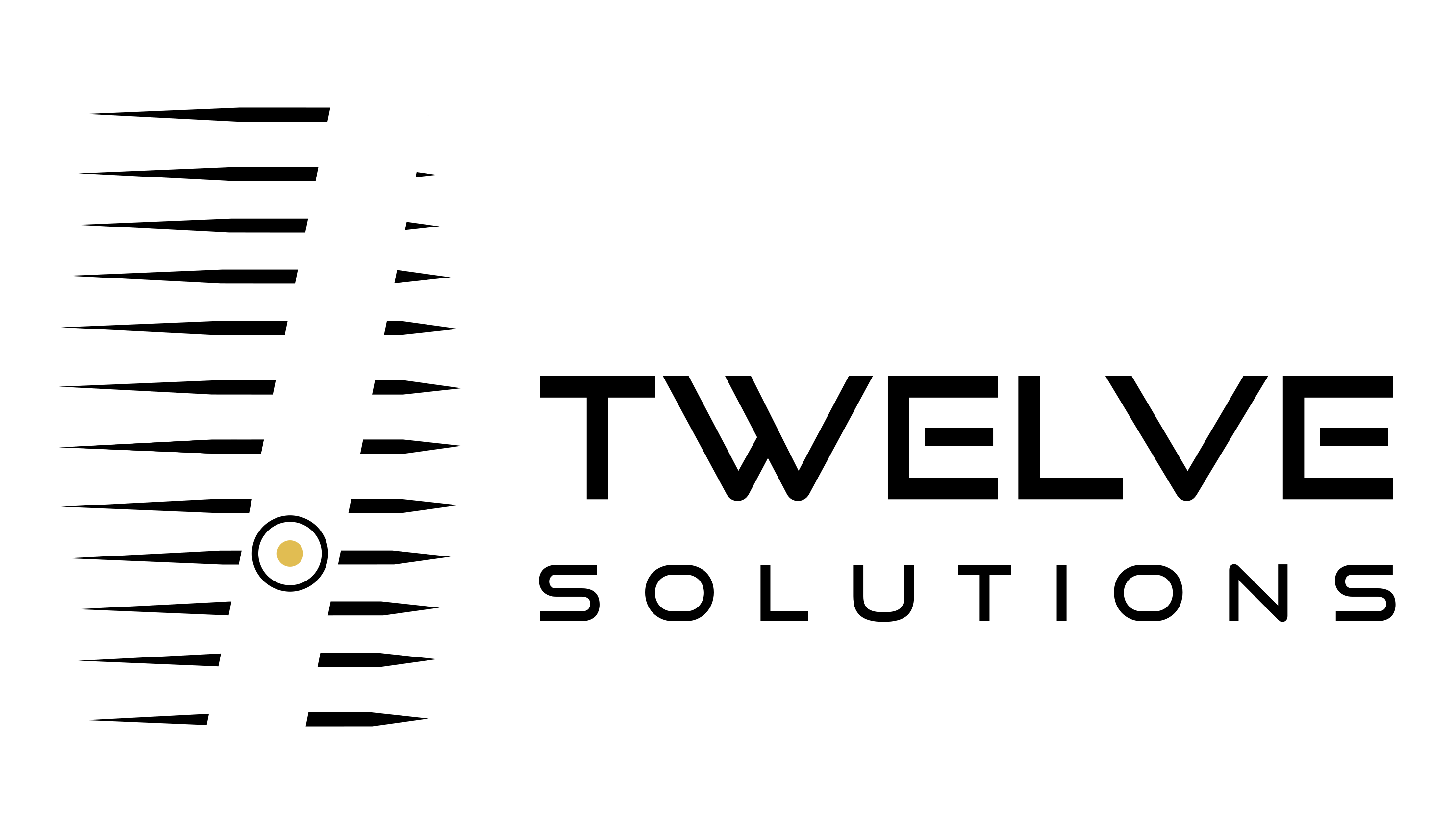 Twelve Solutions