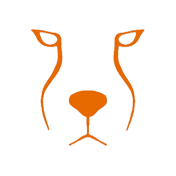 Acinonyx Web Agency