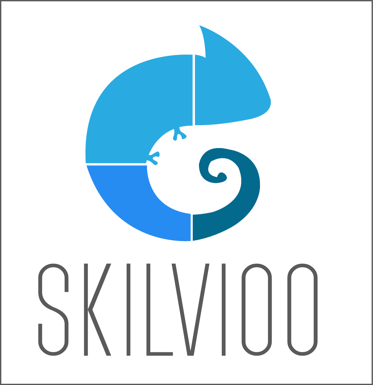 SKILVIOO