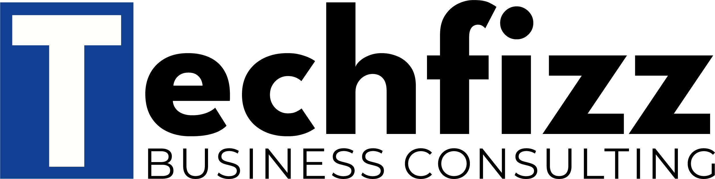 Techfizz Business Consulting