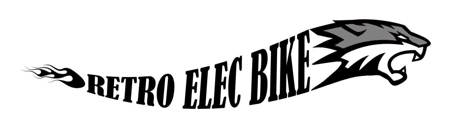 Retro Elec Bike
