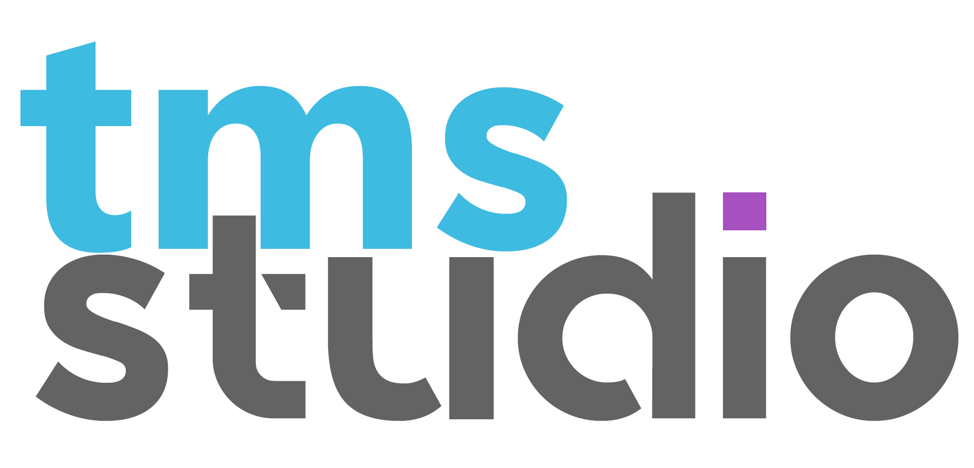 TMS-Studio