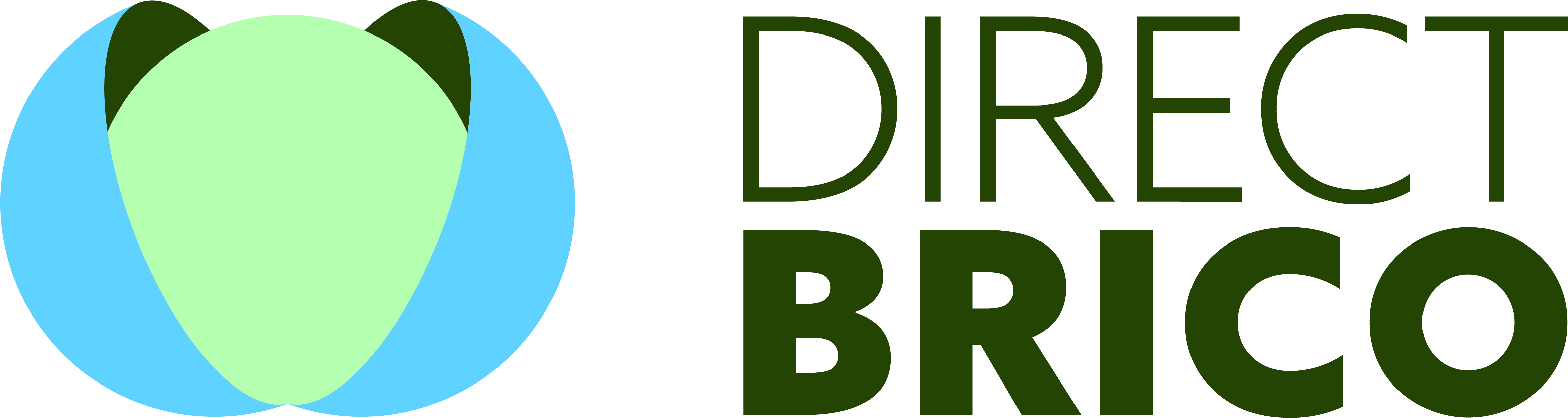 DirectBrico