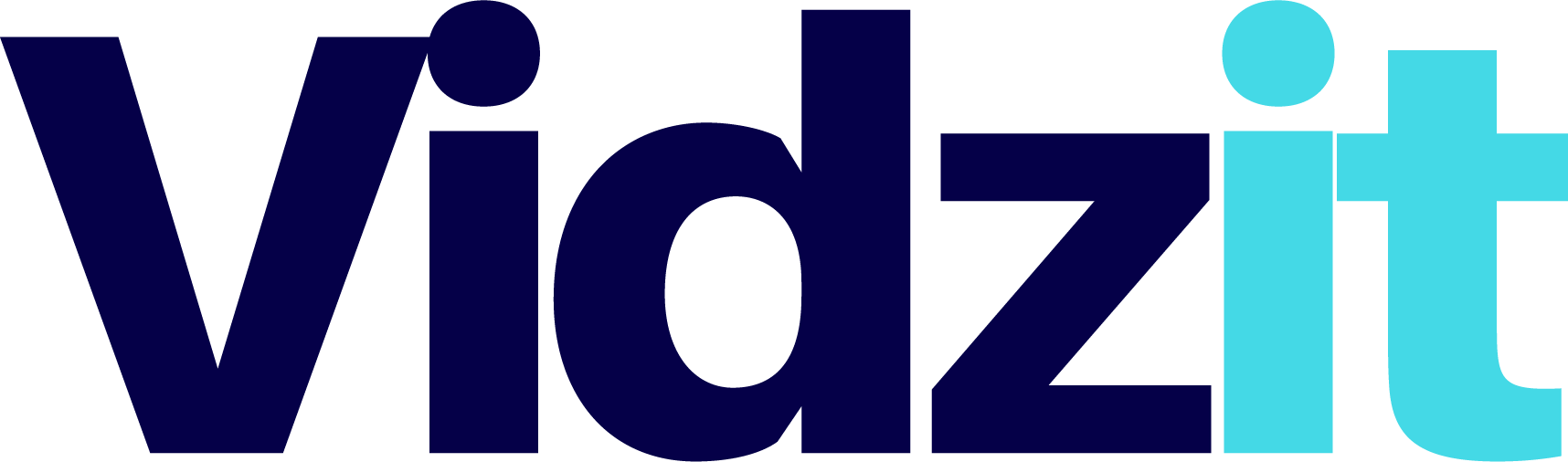 Vidzit