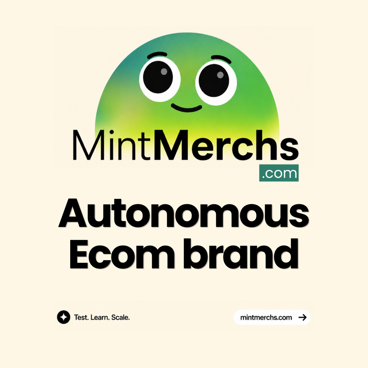Mintmerchs