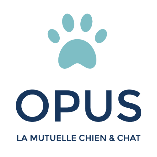 Opus - La Mutuelle Chien & Chat