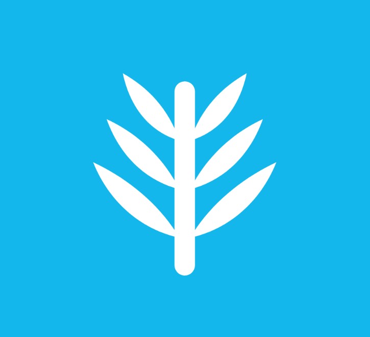 Palmio