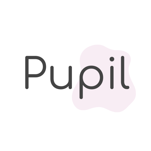 Pupil