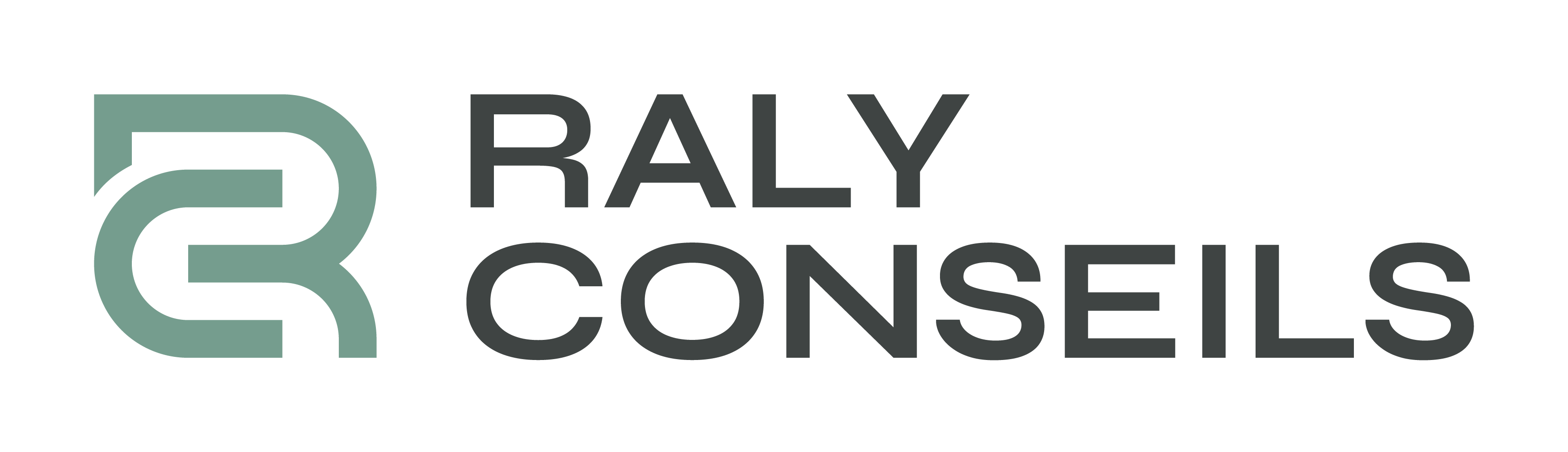 RALY CONSEILS