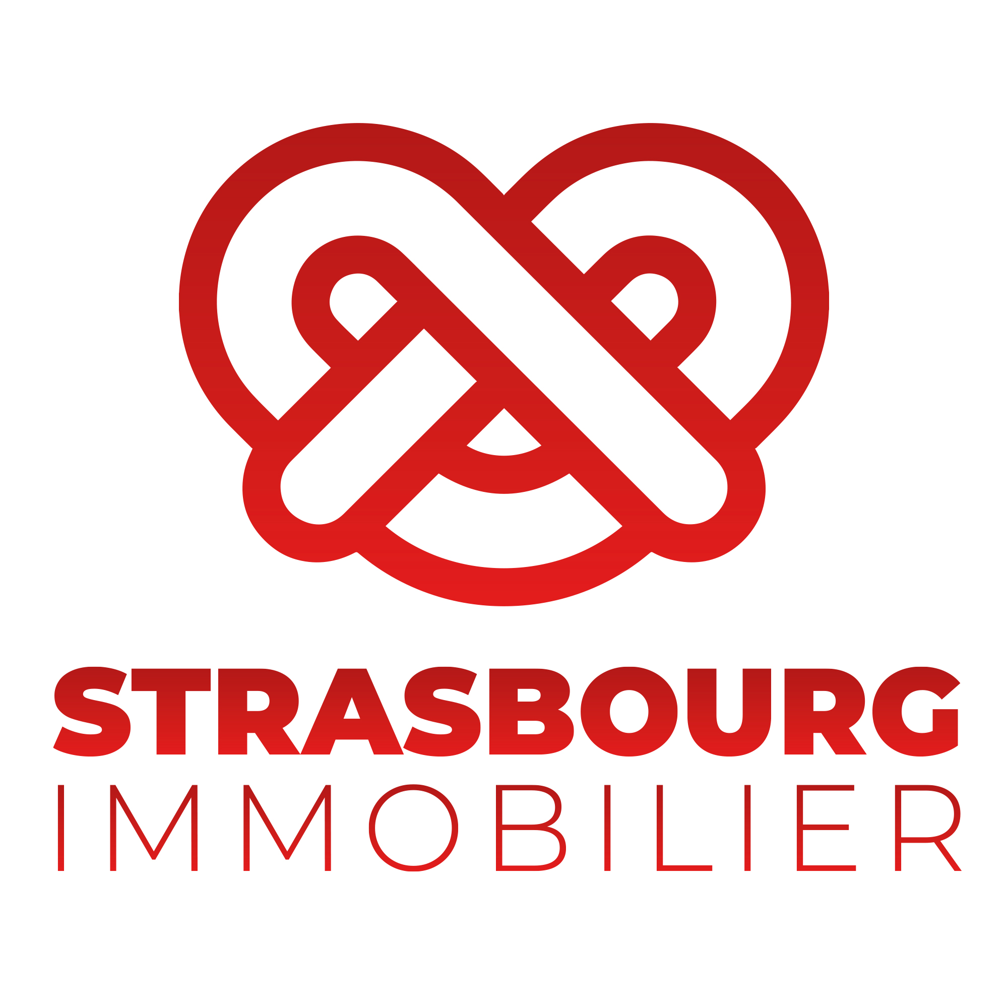 Strasbourg Immobilier