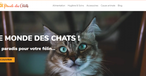 Le Monde Des Chats Startup France Le Monde Des Chats Startup France