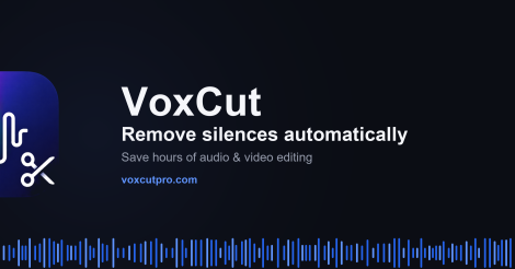 VoxCut