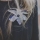 Portrait de Ludivine Allard