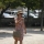 Portrait de Catherine Coiffard