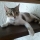 Portrait de Christine LM