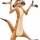 Portrait de Timon OKLM
