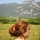 Portrait de Emilie Rougon