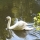 Portrait de Sab Olympe