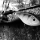 Portrait de Sweden Pike