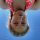 Portrait de Camille Jdn