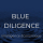 Portrait de BlueDiligenceIE