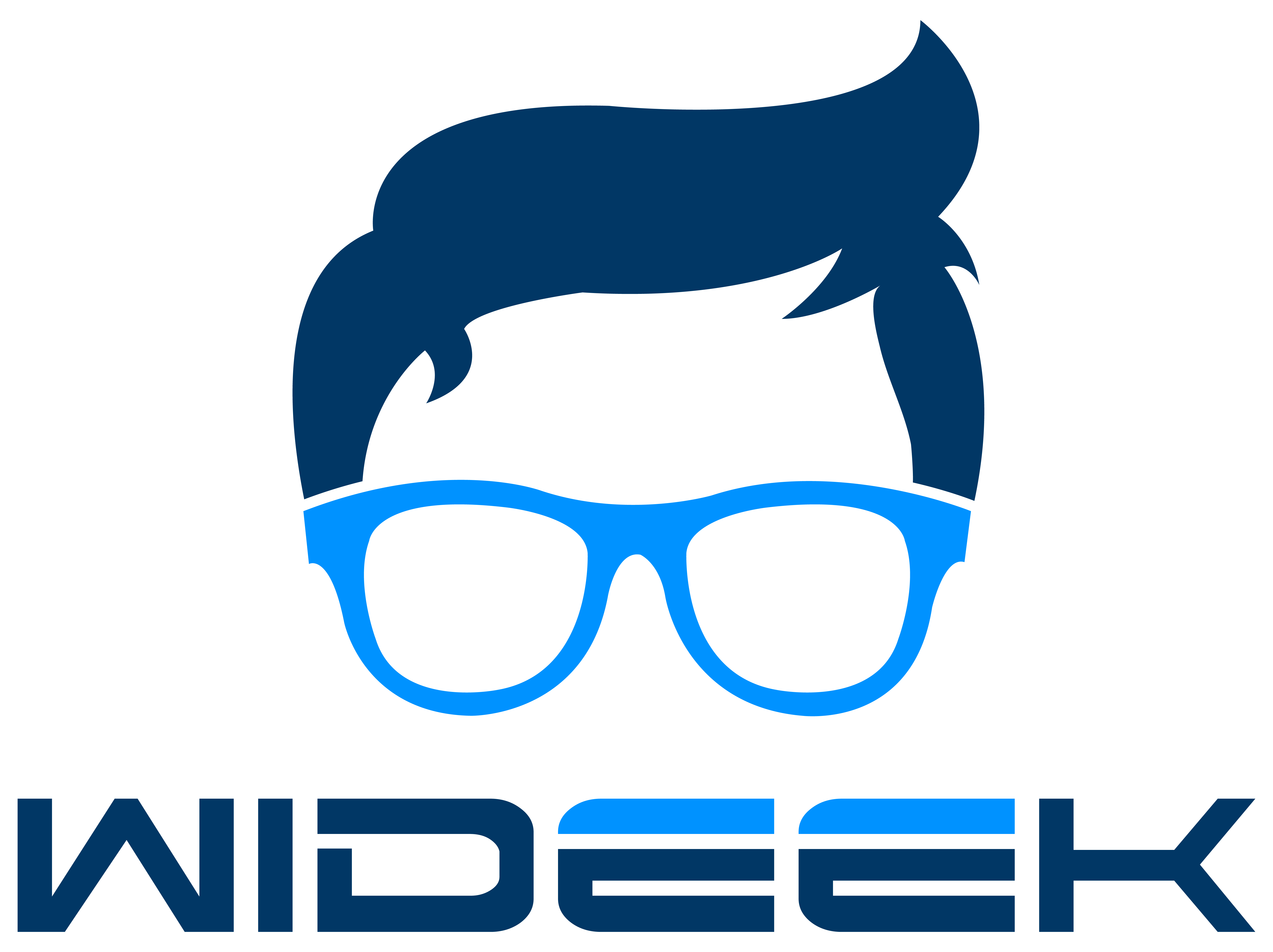 Wideek Sas
