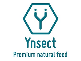 Ynsect